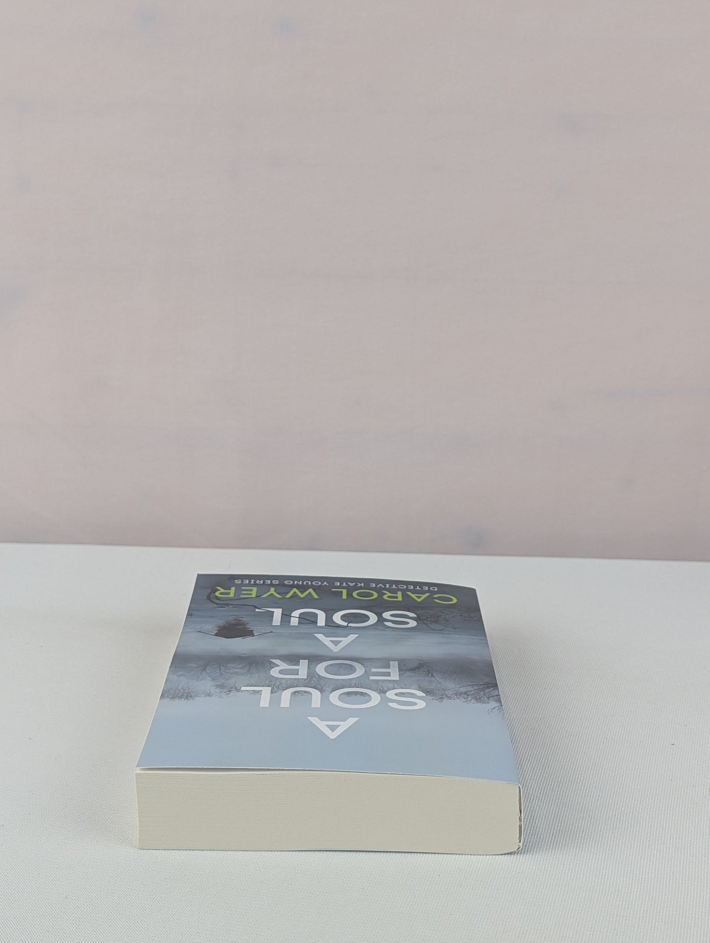 A Soul for a Soul (Detective Kate Young) by Carol Wyer