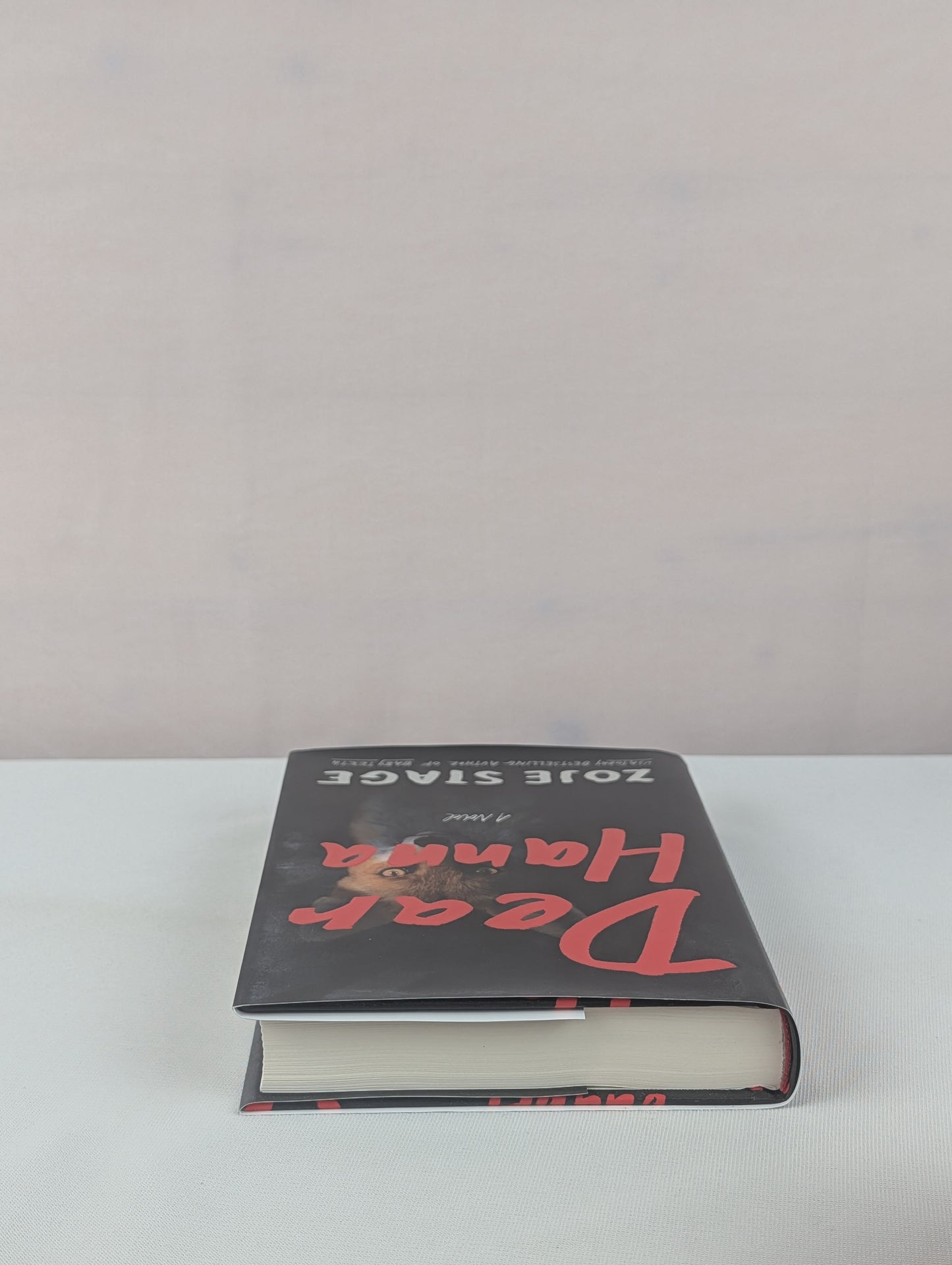 Dear Hanna: A Novel by Zoje Stage