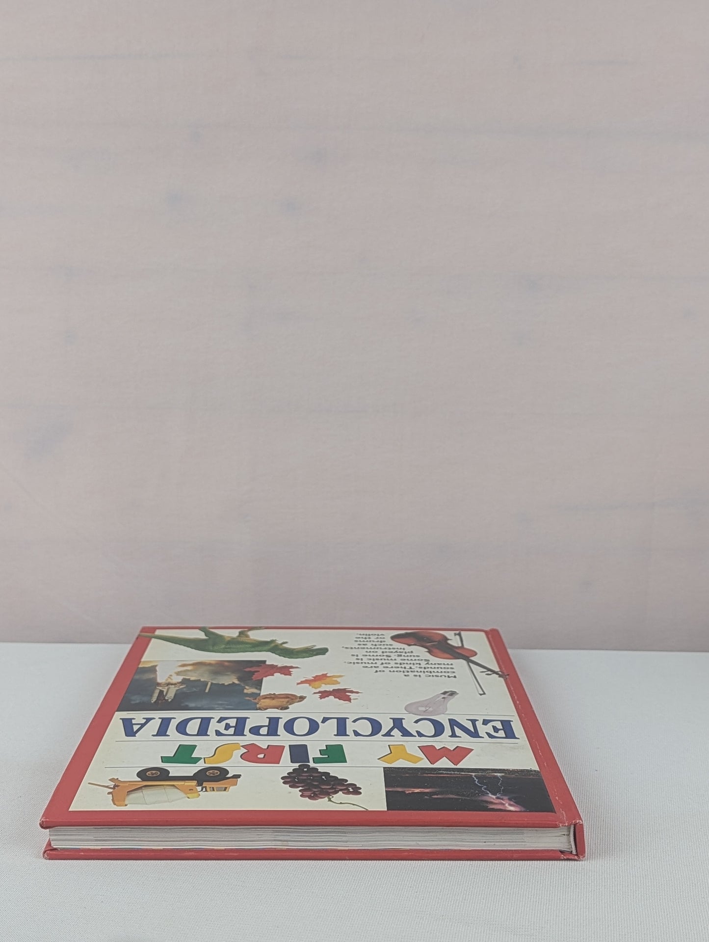 My First Encyclopedia by Editors of Publications International Ltd.