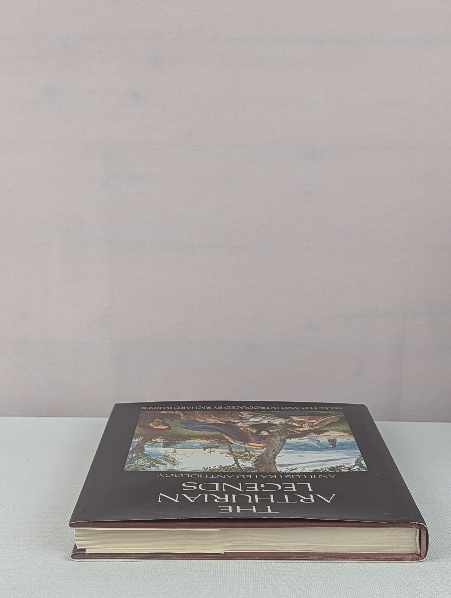 The Arthurian Legends: An Illustrated Anthology by Richard Barber