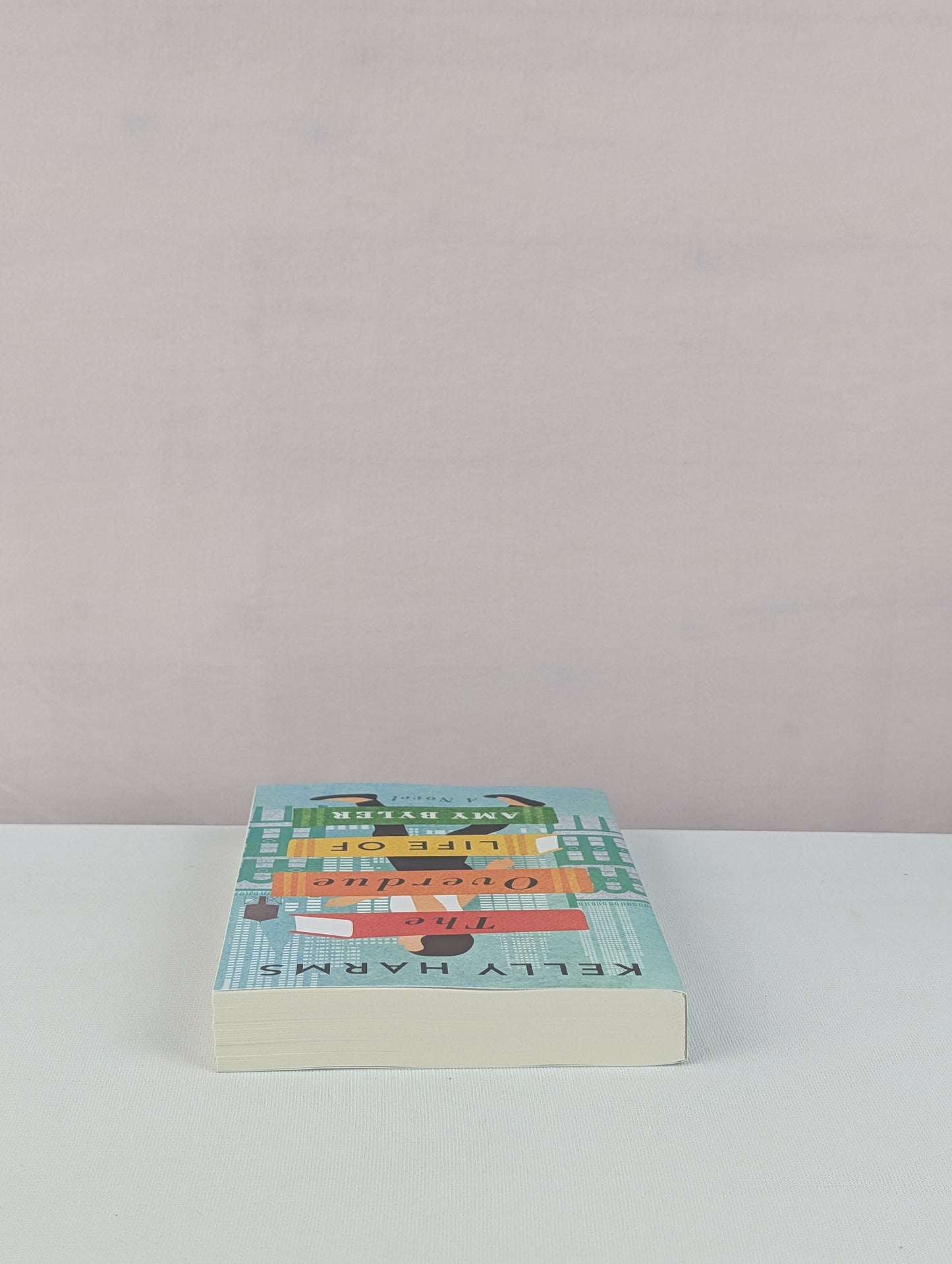 The Overdue Life of Amy Byler by Kelly Harms