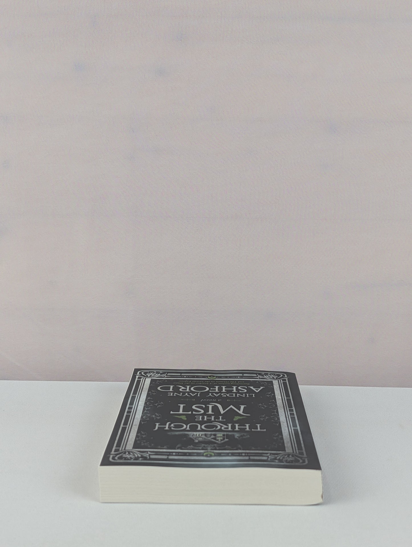 Through the Mist: A Novel by Lindsay Jayne Ashford