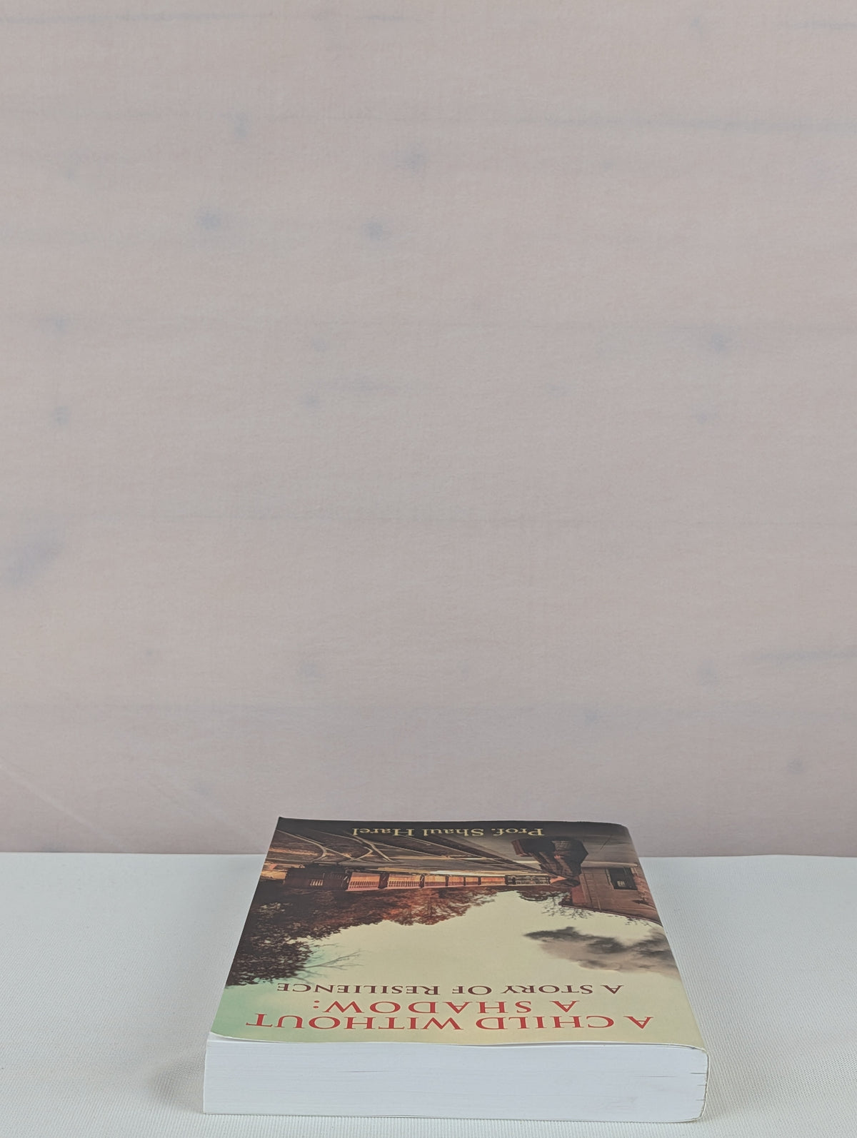 A Child Without a Shadow by Prof. Shaul Harel, Dalia Harel, Ela Moscovitch-Weiss
