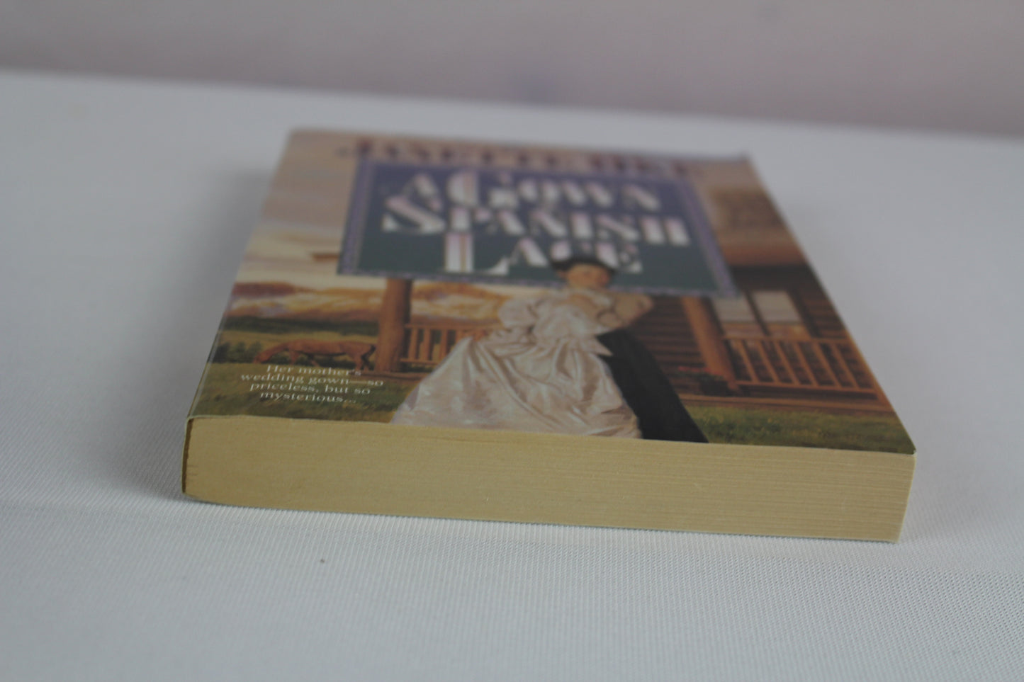 A Gown of Spanish Lace (Women of the West #11)