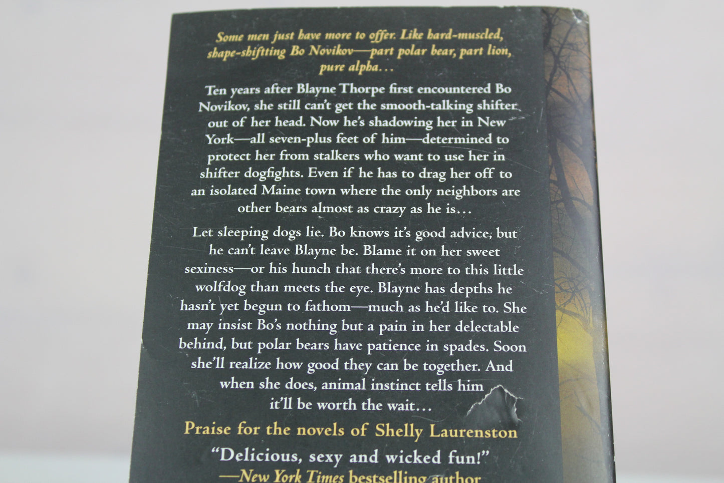 Beast Behaving Badly (The Pride Series) by Shelly Laurenston