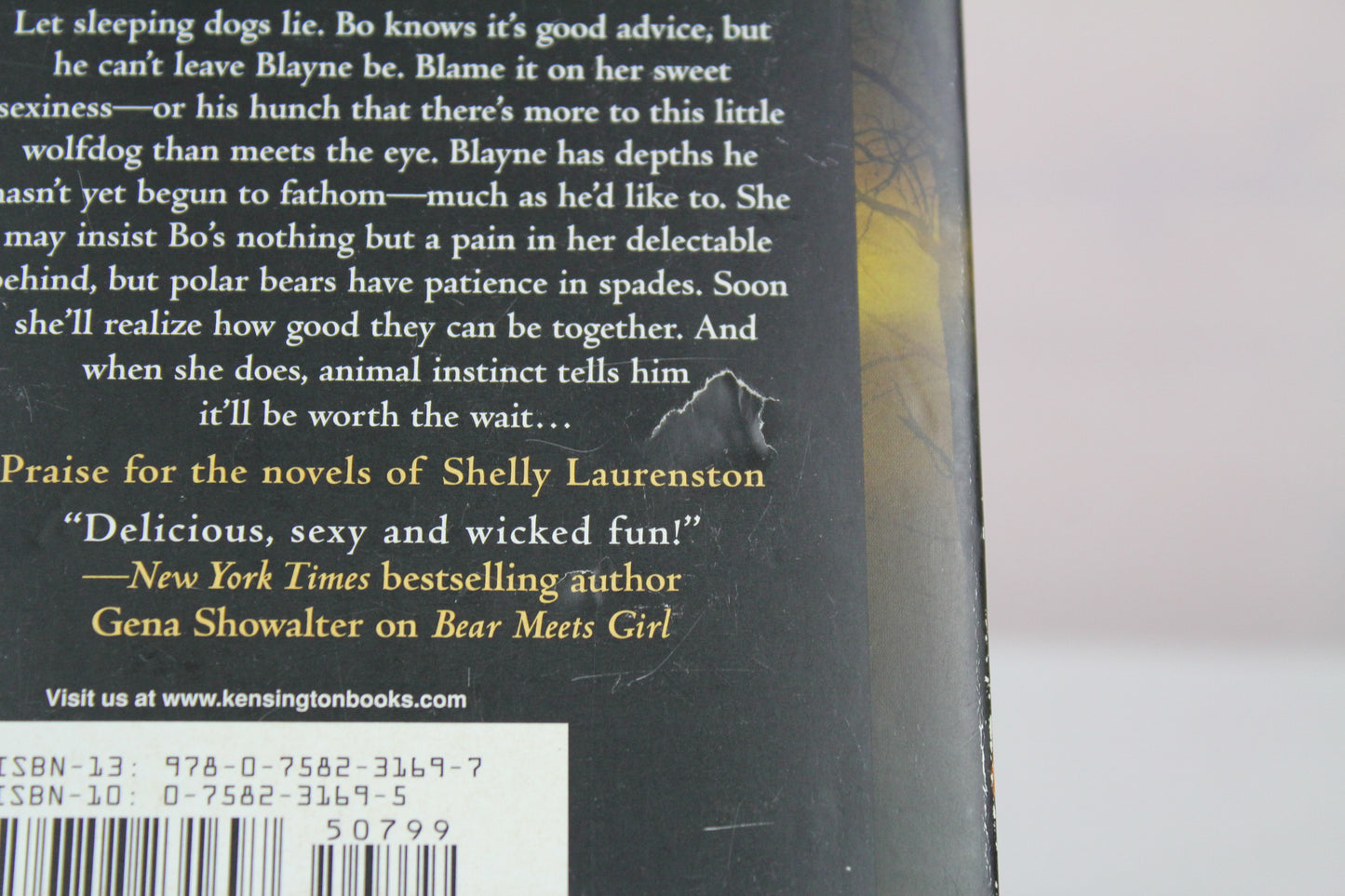 Beast Behaving Badly (The Pride Series) by Shelly Laurenston