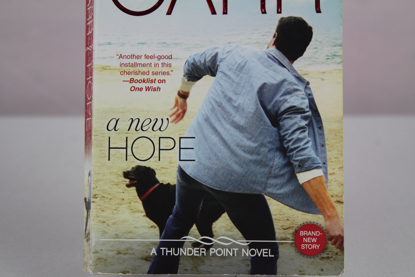 A New Hope: A Gripping Small Town Romance About Starting Over in Oregon (Thunder Point, 8) by Robyn Carr
