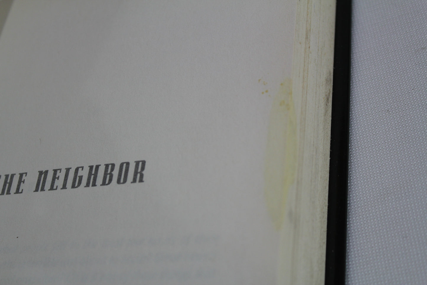 The Neighbor (Detective D. D. Warren) by Lisa Gardner