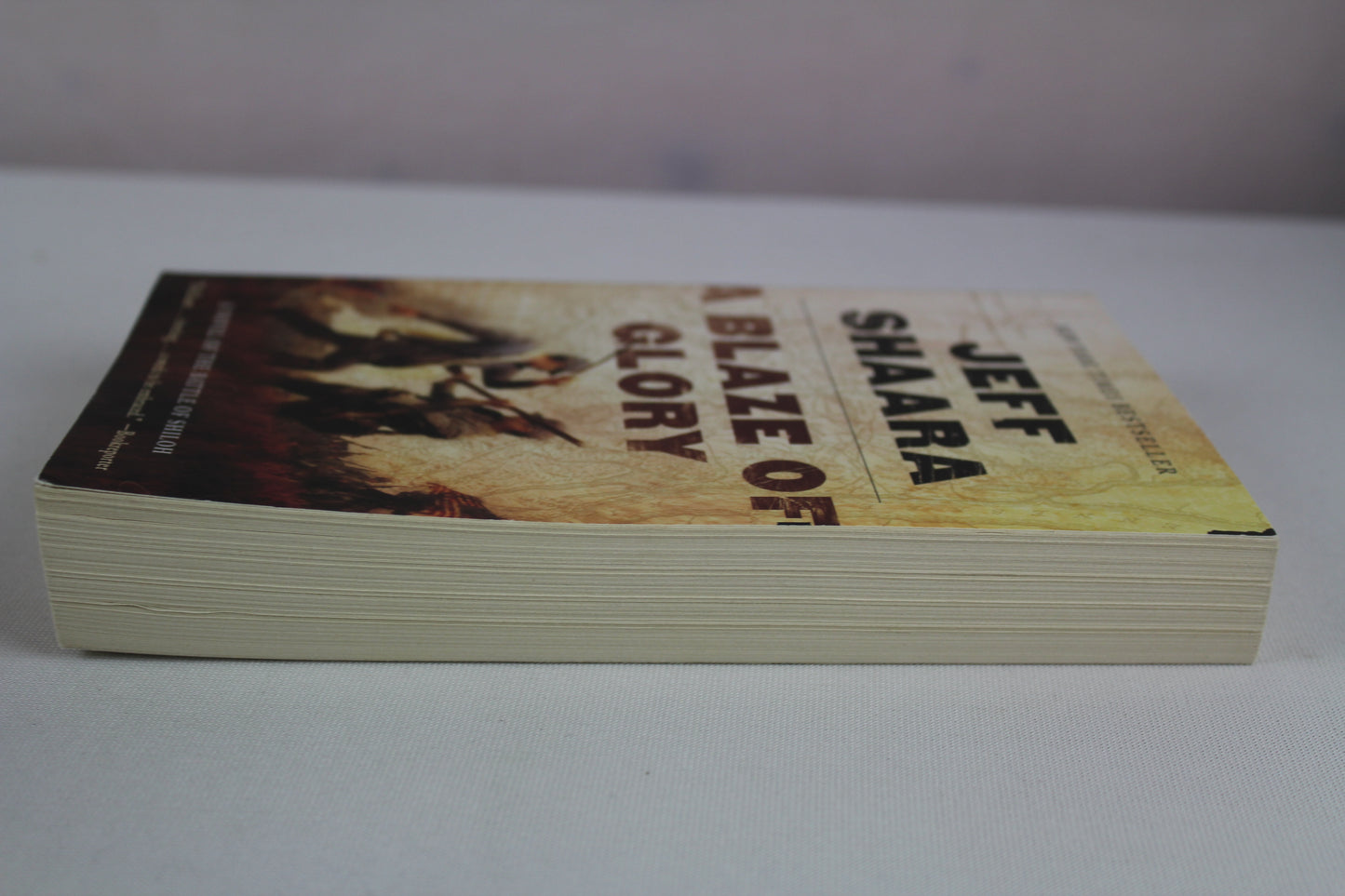 A Blaze of Glory: A Novel of the Battle of Shiloh (the Civil War in the West) by Jeff Shaara