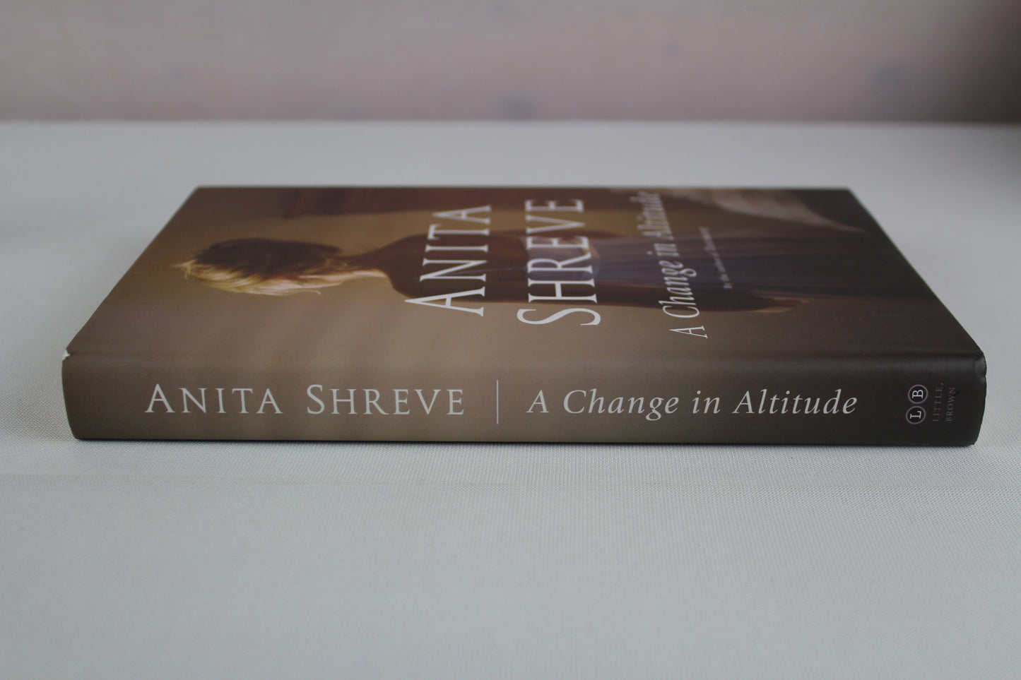 A Change in Altitude: A Novel by Anita Shreve