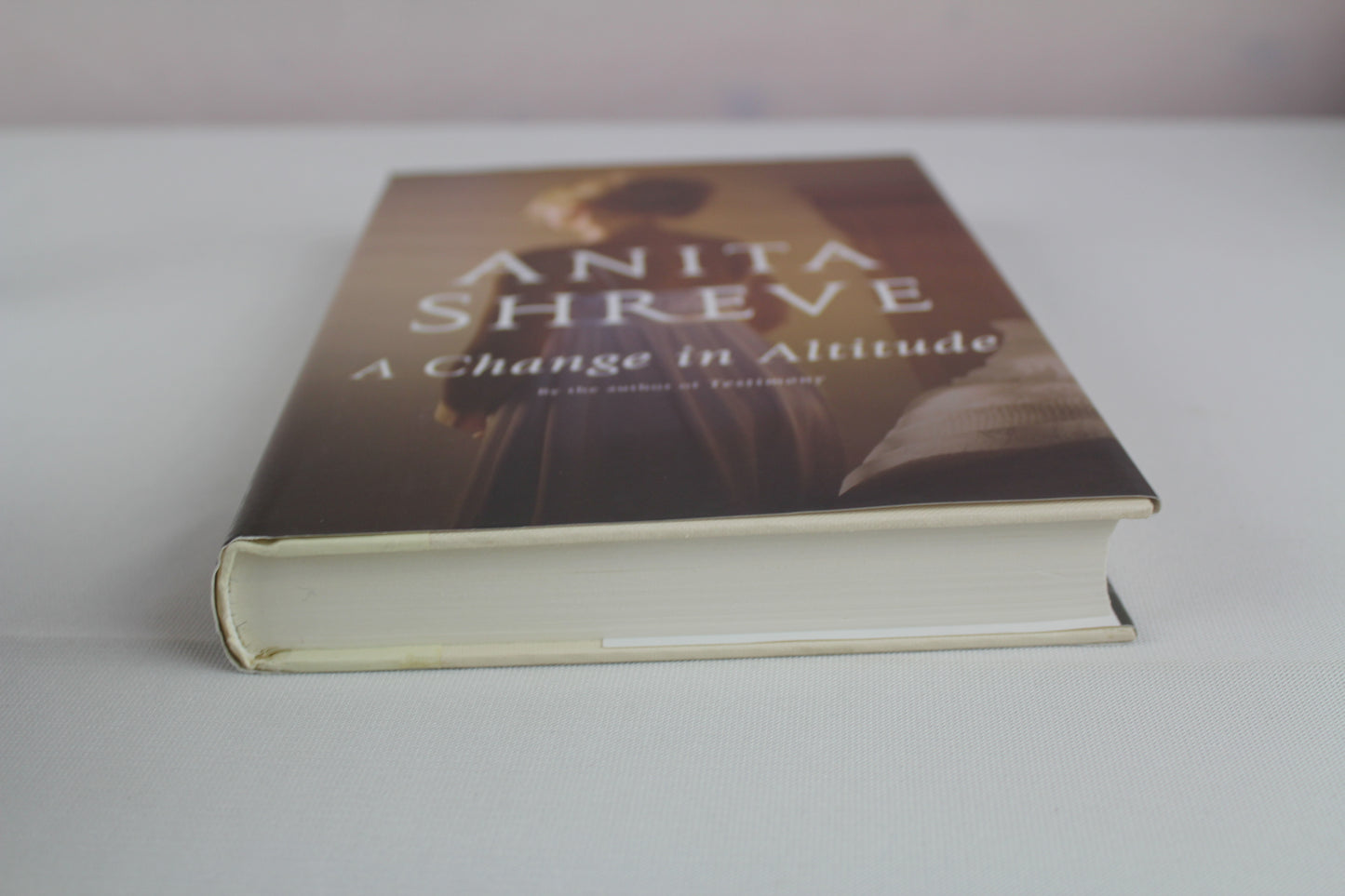 A Change in Altitude: A Novel by Anita Shreve