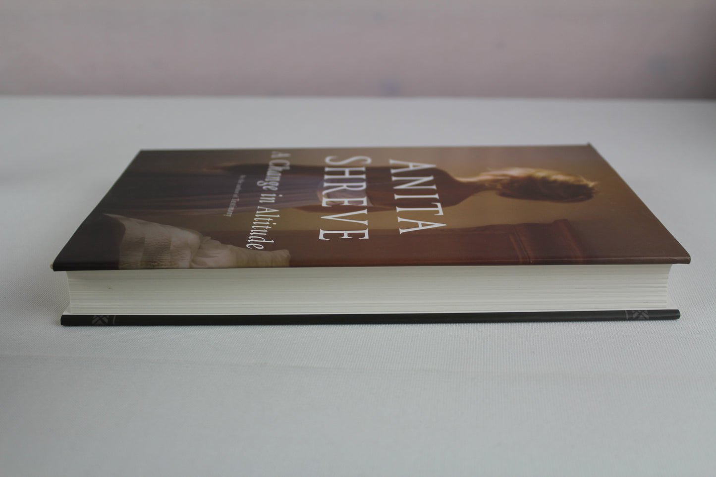 A Change in Altitude: A Novel by Anita Shreve