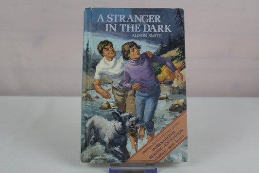 A Stranger in the Dark by Alison Smith