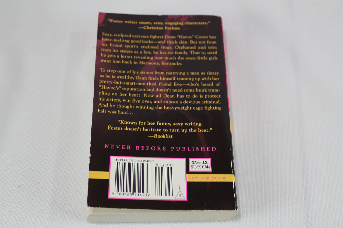 Causing Havoc (SBC Fighters, Book 1) by Lori Foster