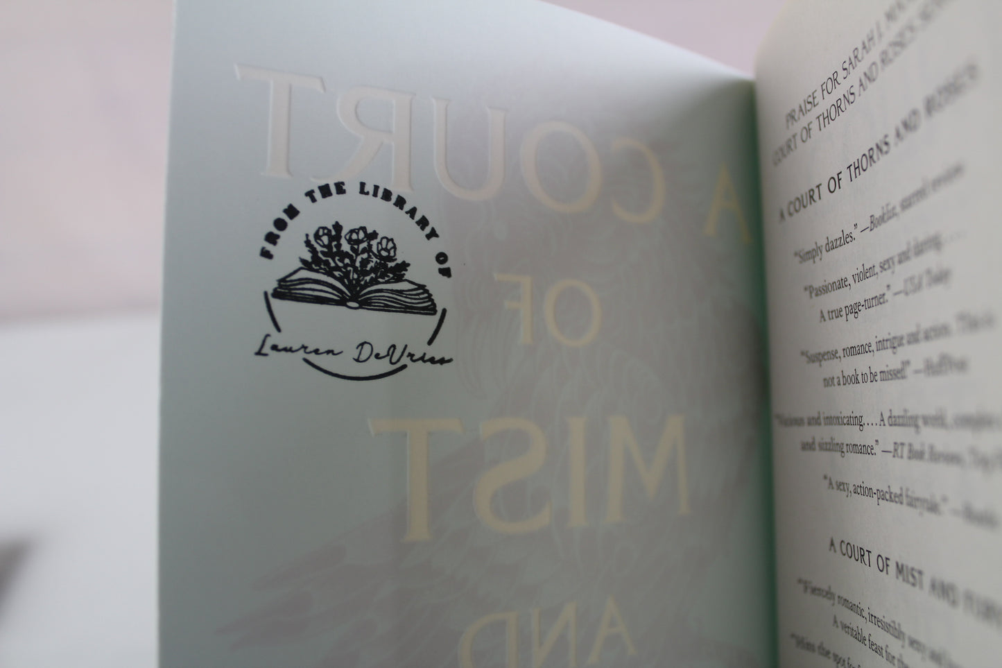A Court of Mist and Fury by Sarah J. Maas