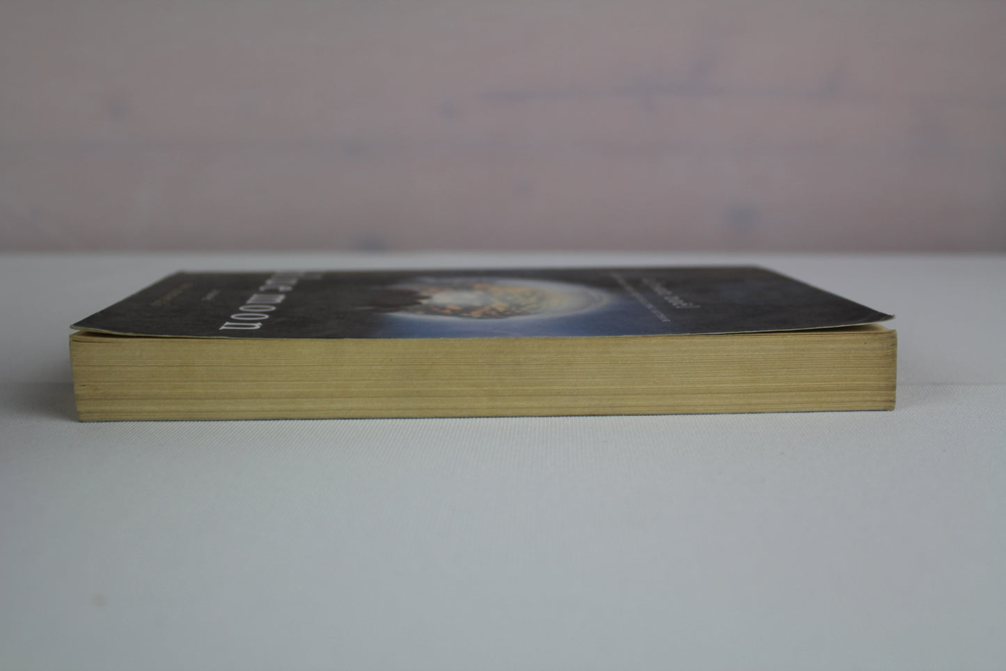 Blue Moon (The Immortals, Book 2) by Alyson Noël