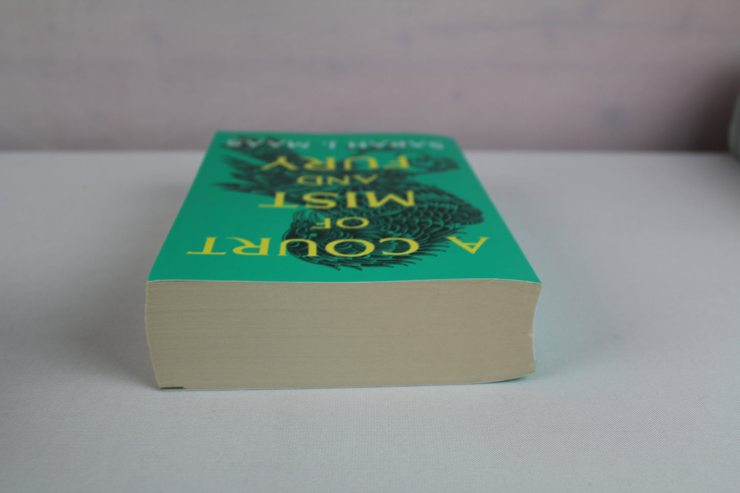 A Court of Mist and Fury by Sarah J. Maas