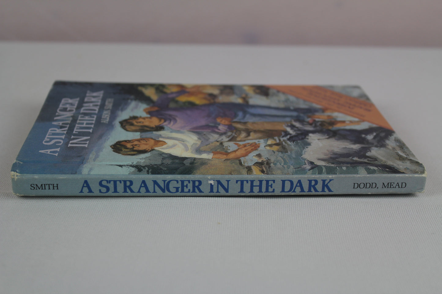 A Stranger in the Dark by Alison Smith