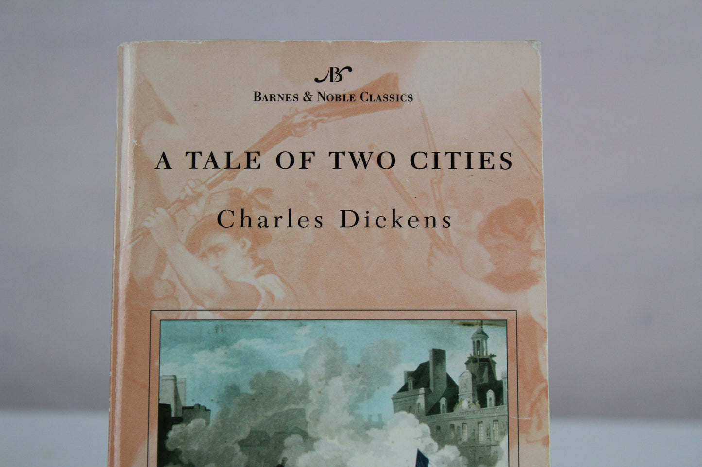 A Tale of Two Cities (Barnes & Noble Classics) by Charles Dickens, Gillen D'Arcy Wood