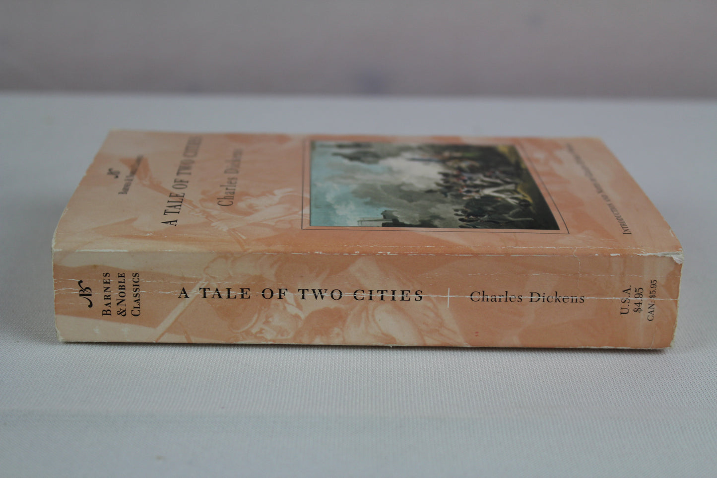 A Tale of Two Cities (Barnes & Noble Classics) by Charles Dickens, Gillen D'Arcy Wood