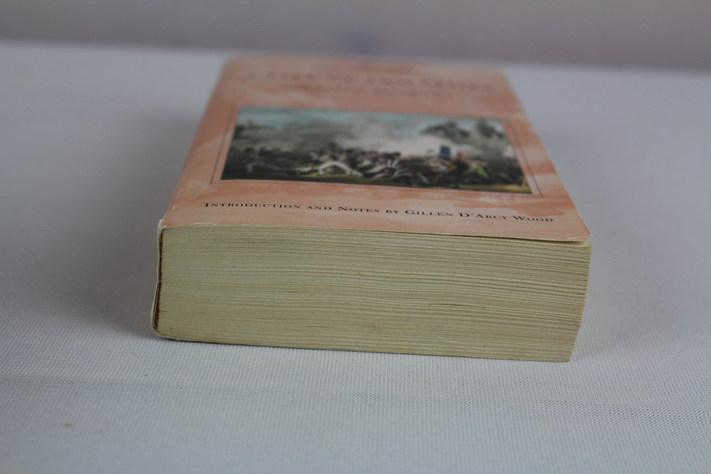 A Tale of Two Cities (Barnes & Noble Classics) by Charles Dickens, Gillen D'Arcy Wood