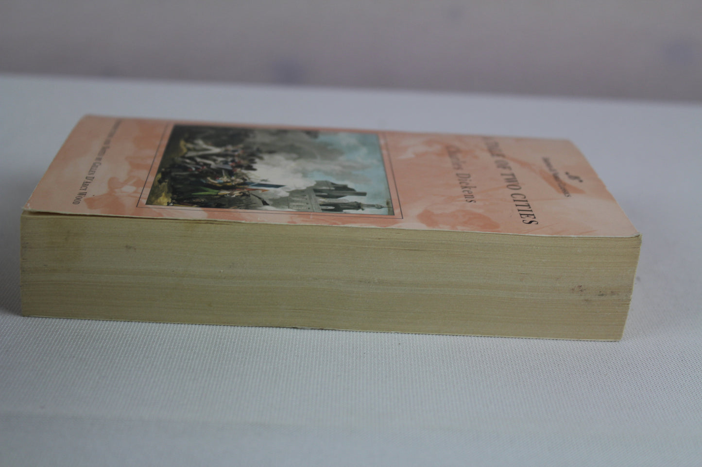 A Tale of Two Cities (Barnes & Noble Classics) by Charles Dickens, Gillen D'Arcy Wood