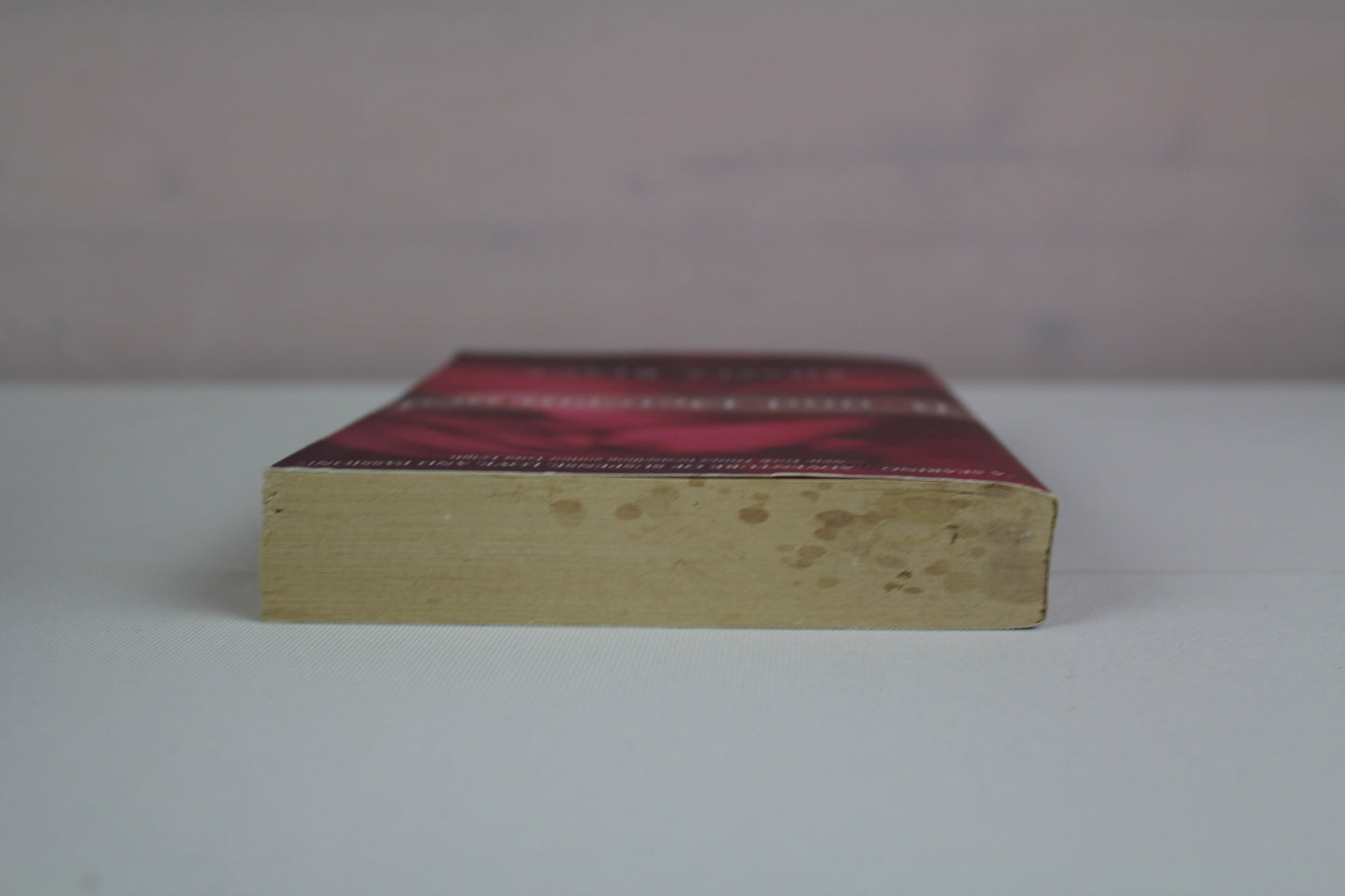 Bound and Determined by Shelley Bradley
