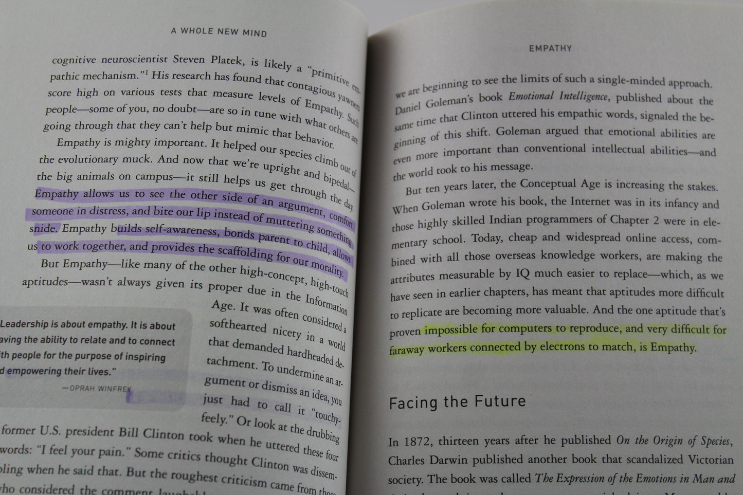 A Whole New Mind: Why Right-Brainers Will Rule the Future by Daniel H. Pink