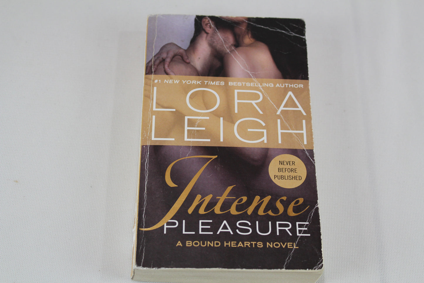 Intense Pleasure (Bound Hearts) by Lora Leigh