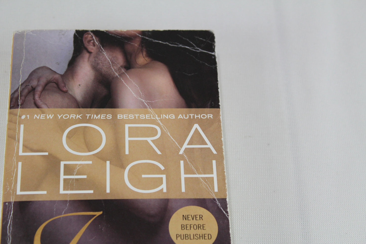Intense Pleasure (Bound Hearts) by Lora Leigh