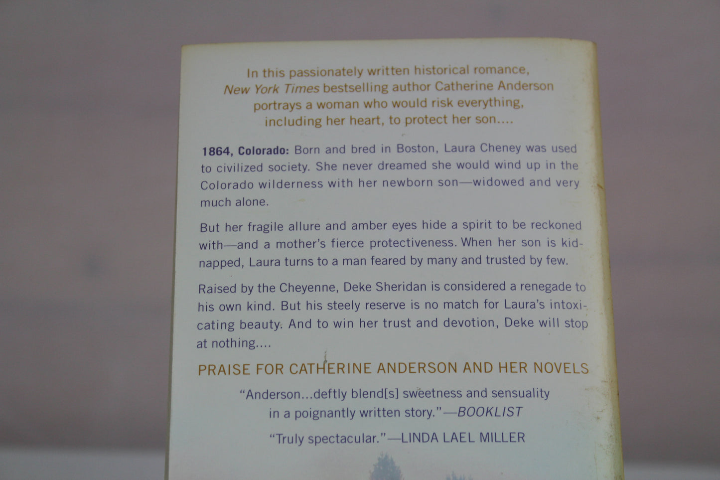 Cheyenne Amber by Catherine Anderson