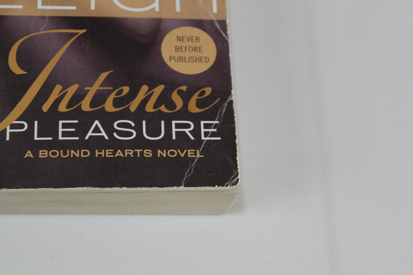Intense Pleasure (Bound Hearts) by Lora Leigh