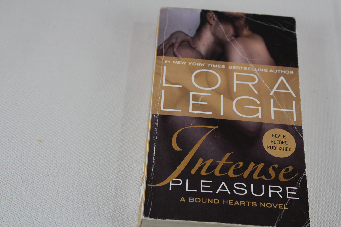 Intense Pleasure (Bound Hearts) by Lora Leigh