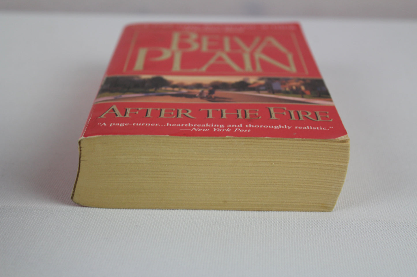 After the Fire: A Novel by Belva Plain