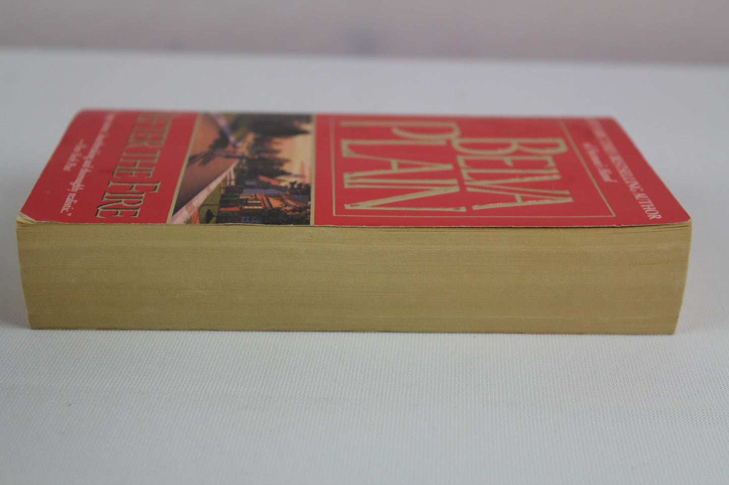 After the Fire: A Novel by Belva Plain