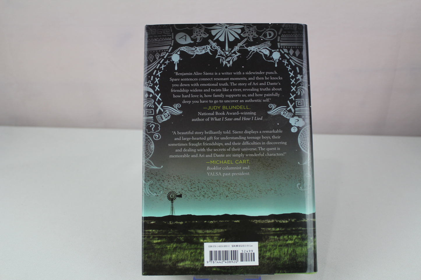 Aristotle and Dante Discover the Secrets of the Universe by Benjamin Alire Sáenz