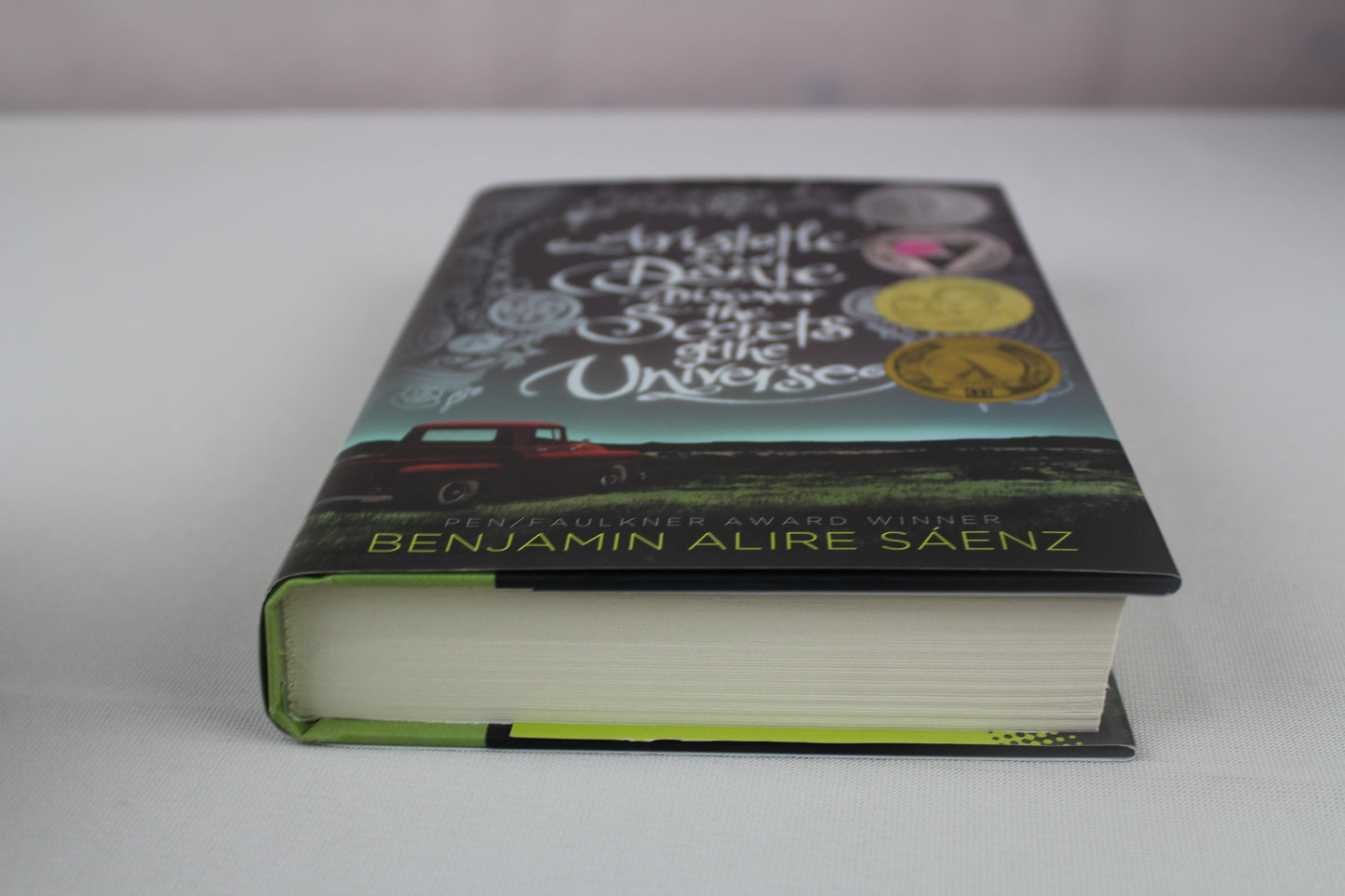 Aristotle and Dante Discover the Secrets of the Universe by Benjamin Alire Sáenz