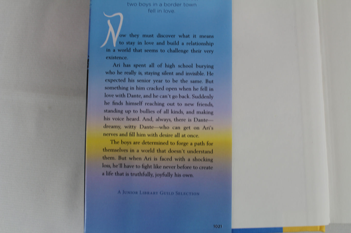 Aristotle and Dante Dive into the Waters of the World by Benjamin Alire Sáenz