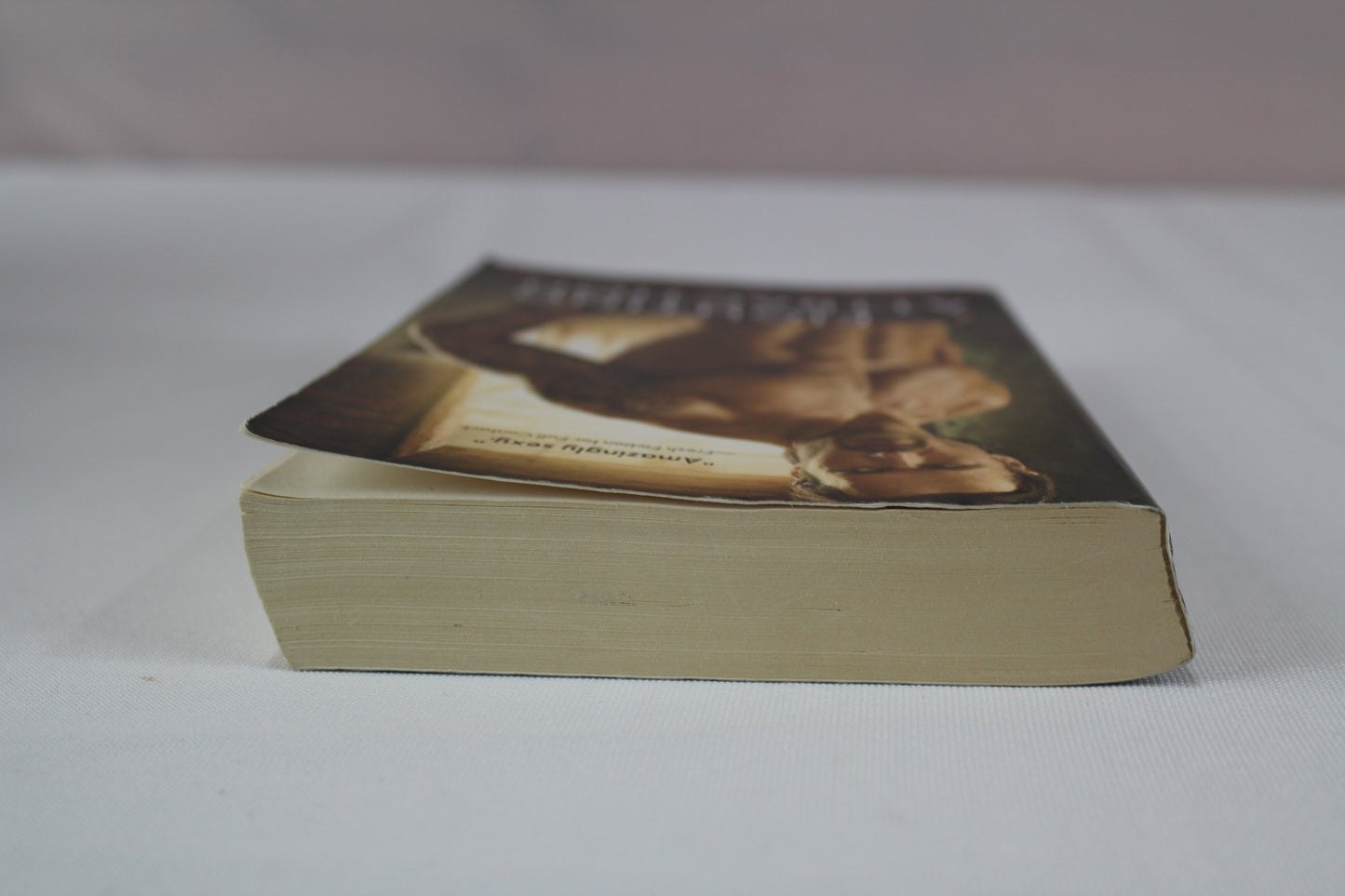 Fighting Attraction: This Southern Gentleman Dom Knows Exactly What His Sweet and Shy Sub Needs (Redemption, 4) by Sarah Castille