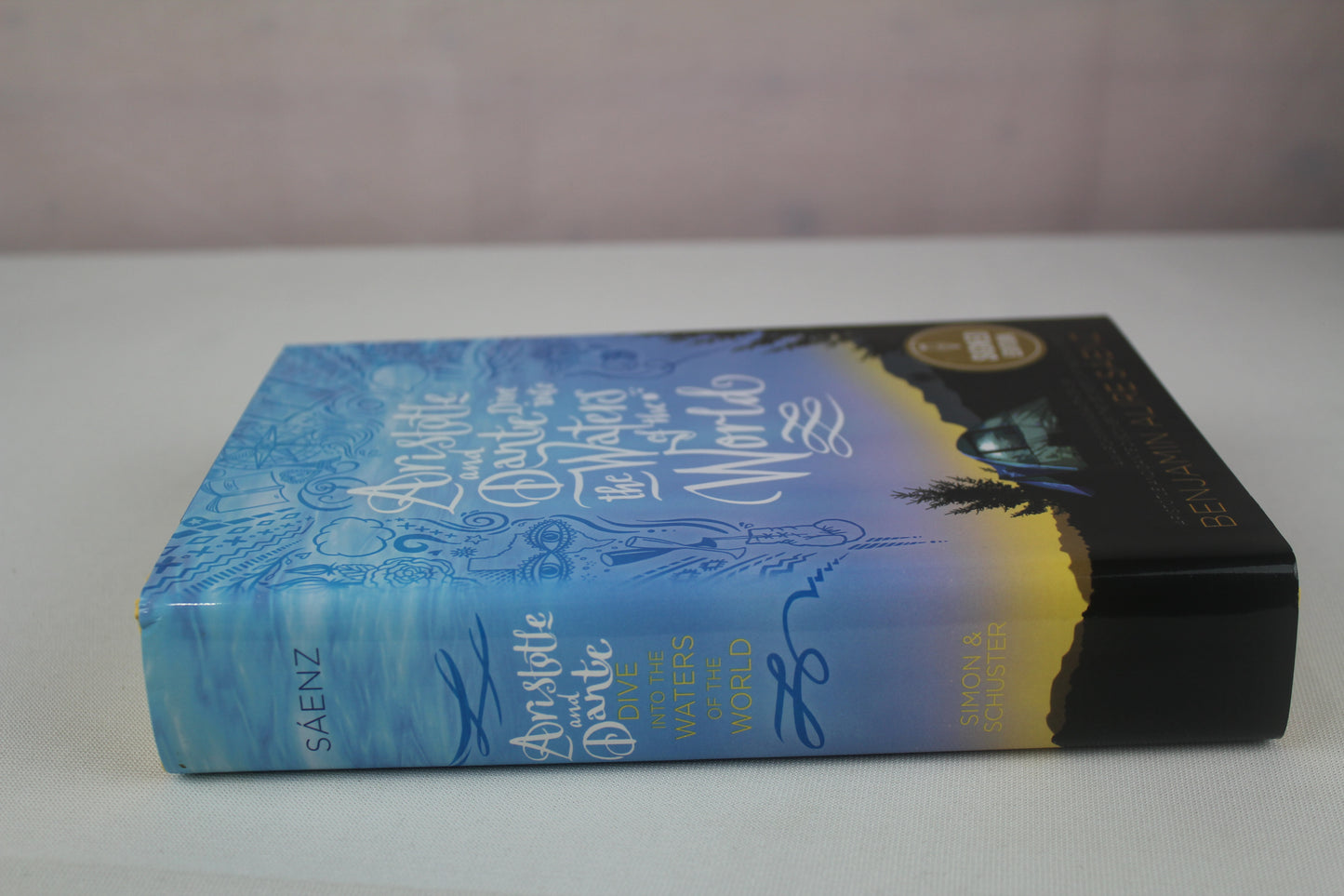 Aristotle and Dante Dive into the Waters of the World by Benjamin Alire Sáenz