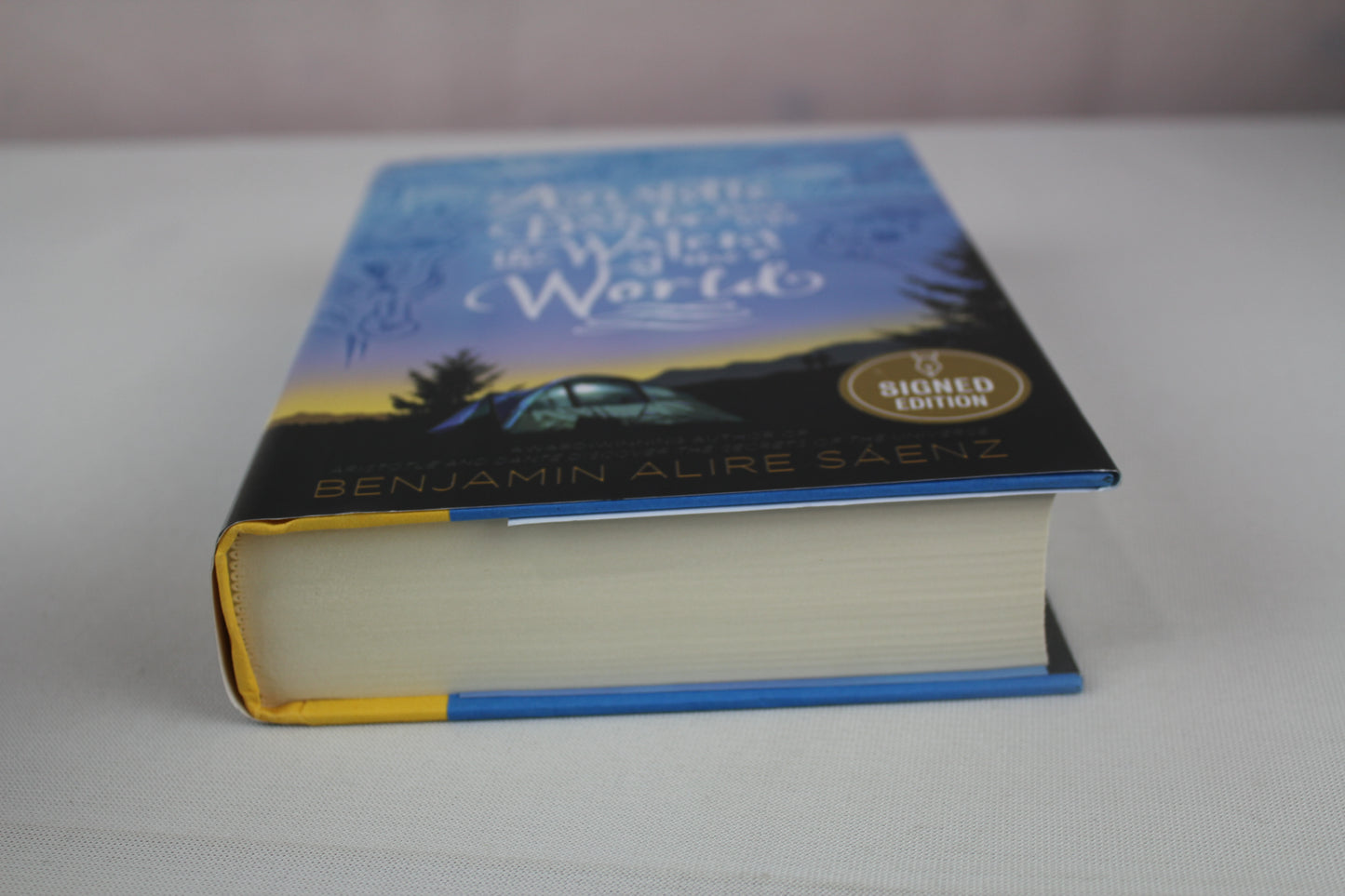 Aristotle and Dante Dive into the Waters of the World by Benjamin Alire Sáenz