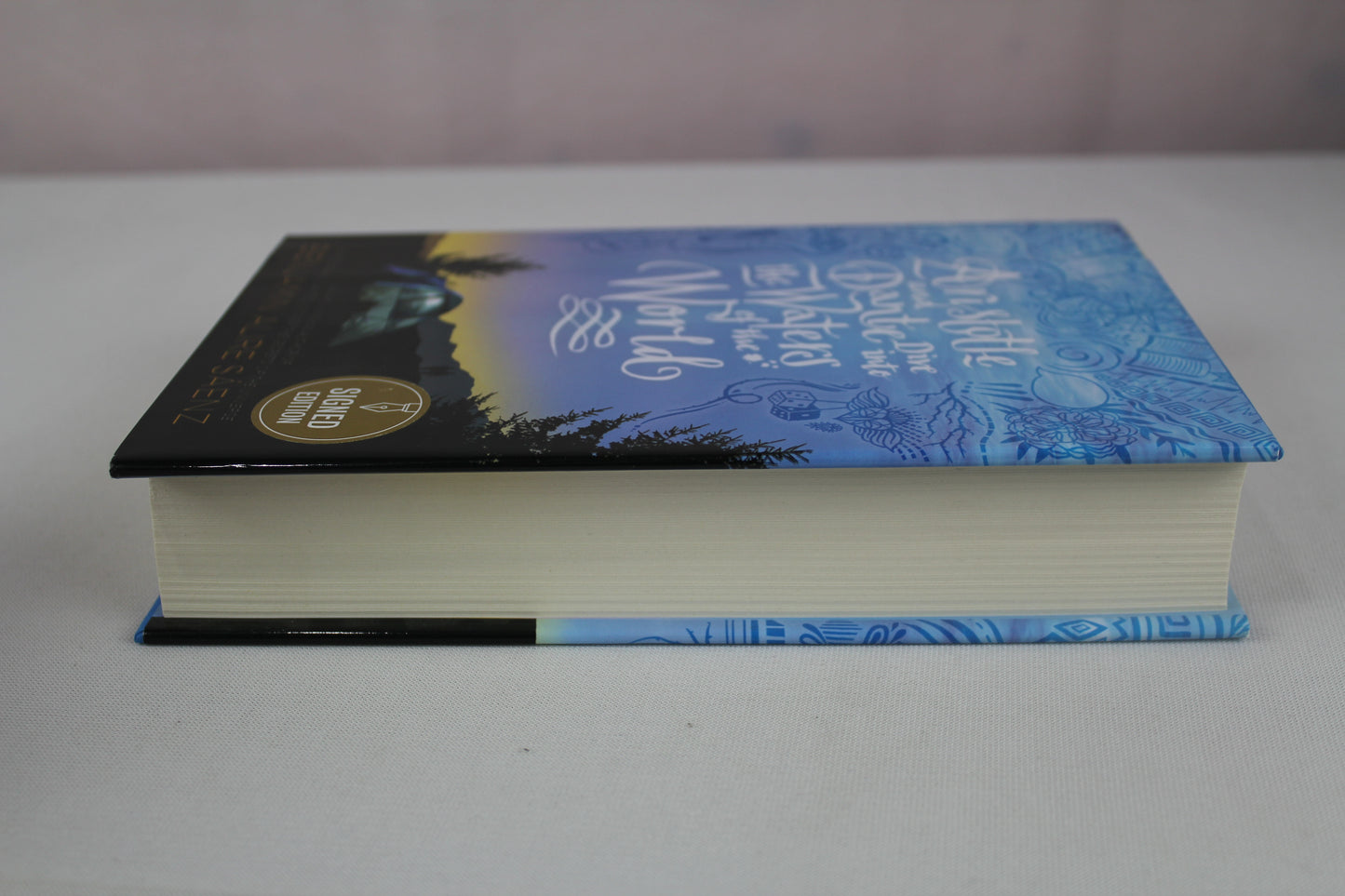 Aristotle and Dante Dive into the Waters of the World by Benjamin Alire Sáenz