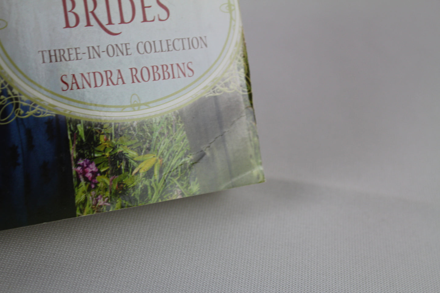 Alabama Brides (Romancing America) by Sandra Robbins