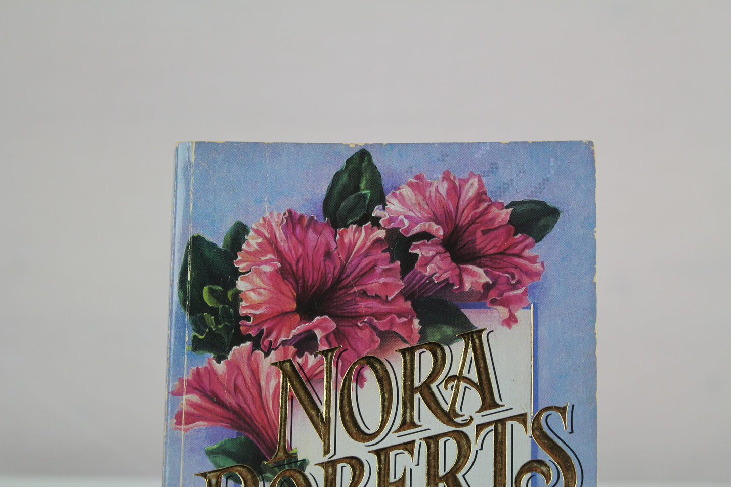 All the Possibilities (Silhouette Language of Love #15) by Nora Roberts