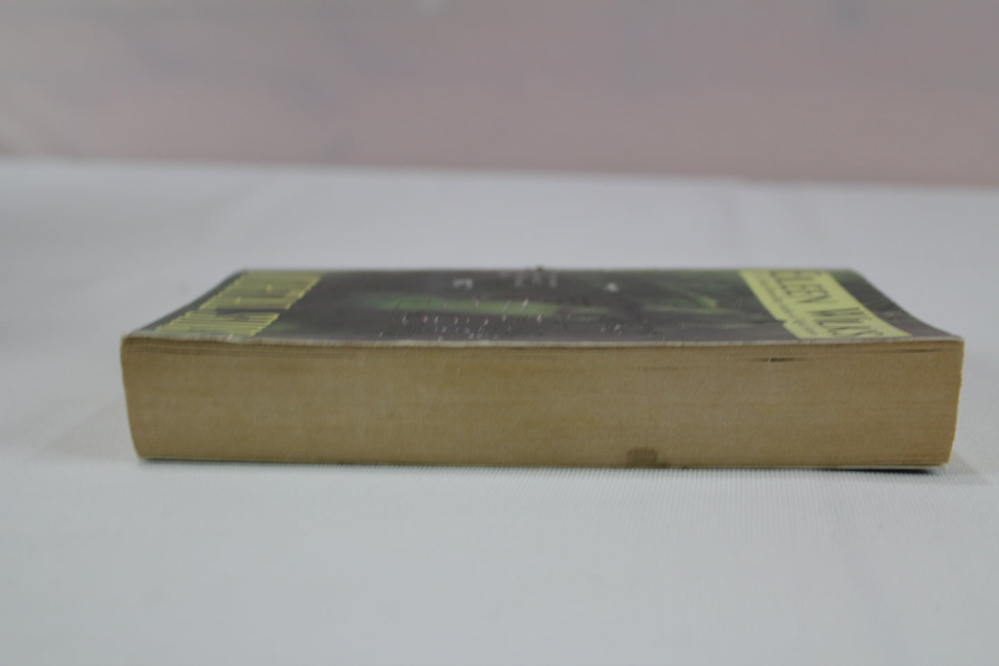 Mortal Sins (World of the Lupi, Book 5) by Eileen Wilks
