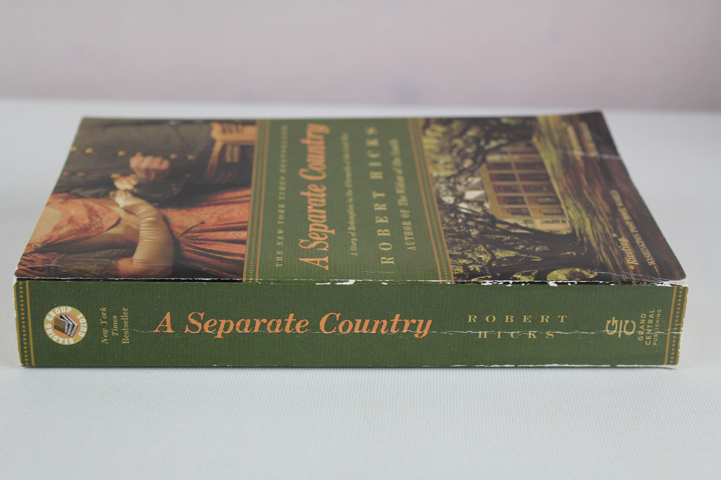 A Separate Country by Robert Hicks