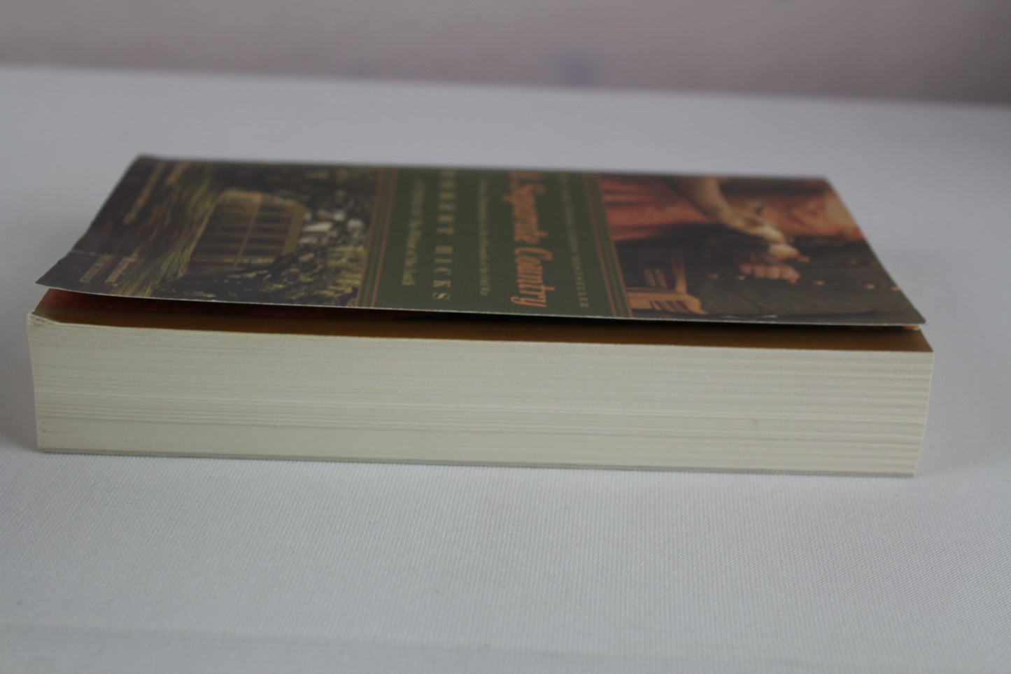 A Separate Country by Robert Hicks