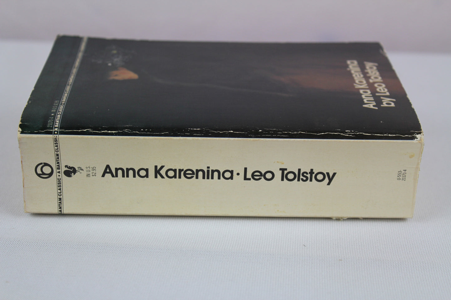 Anna Karenina by Leo Tolstoy