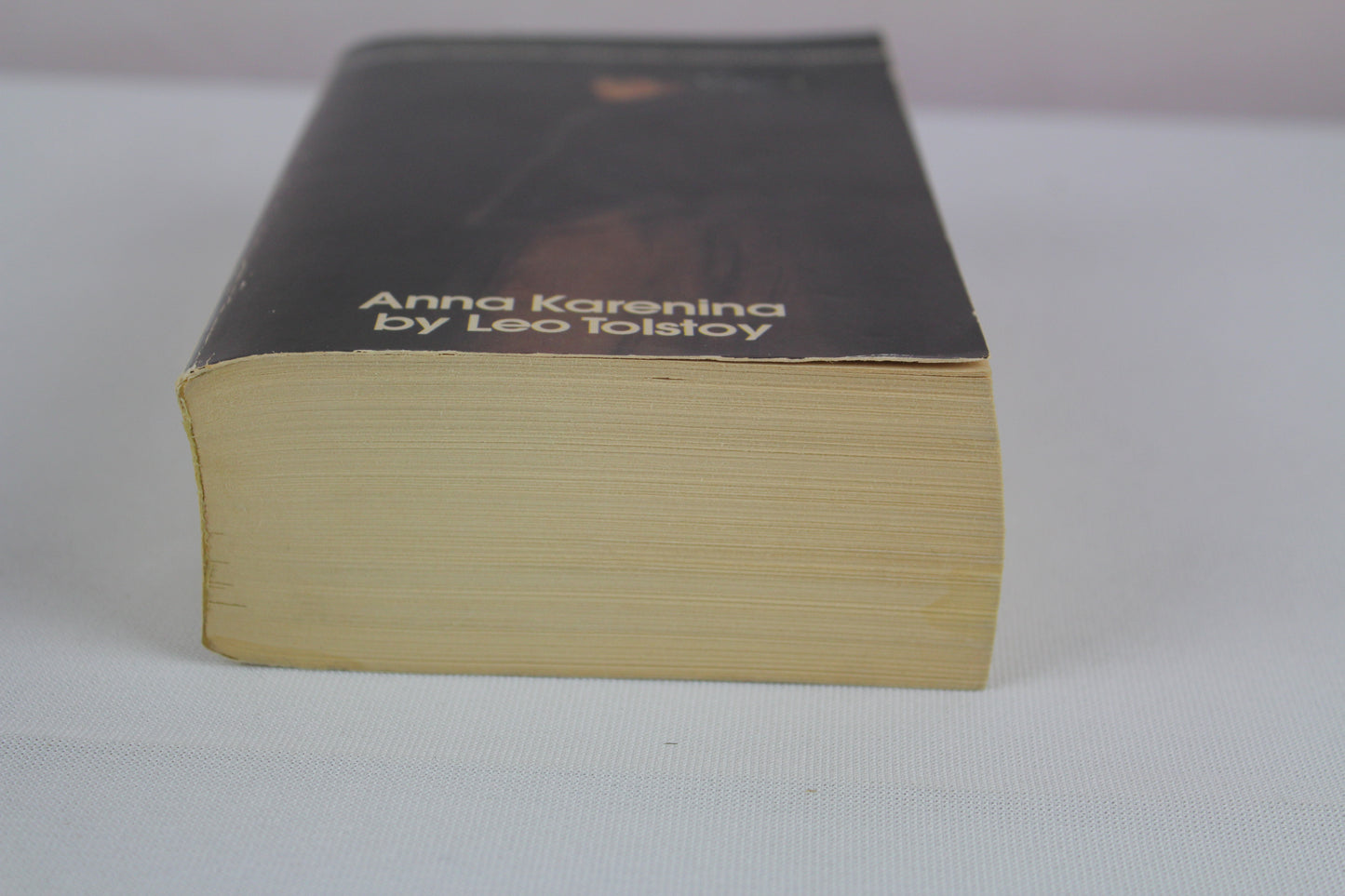 Anna Karenina by Leo Tolstoy