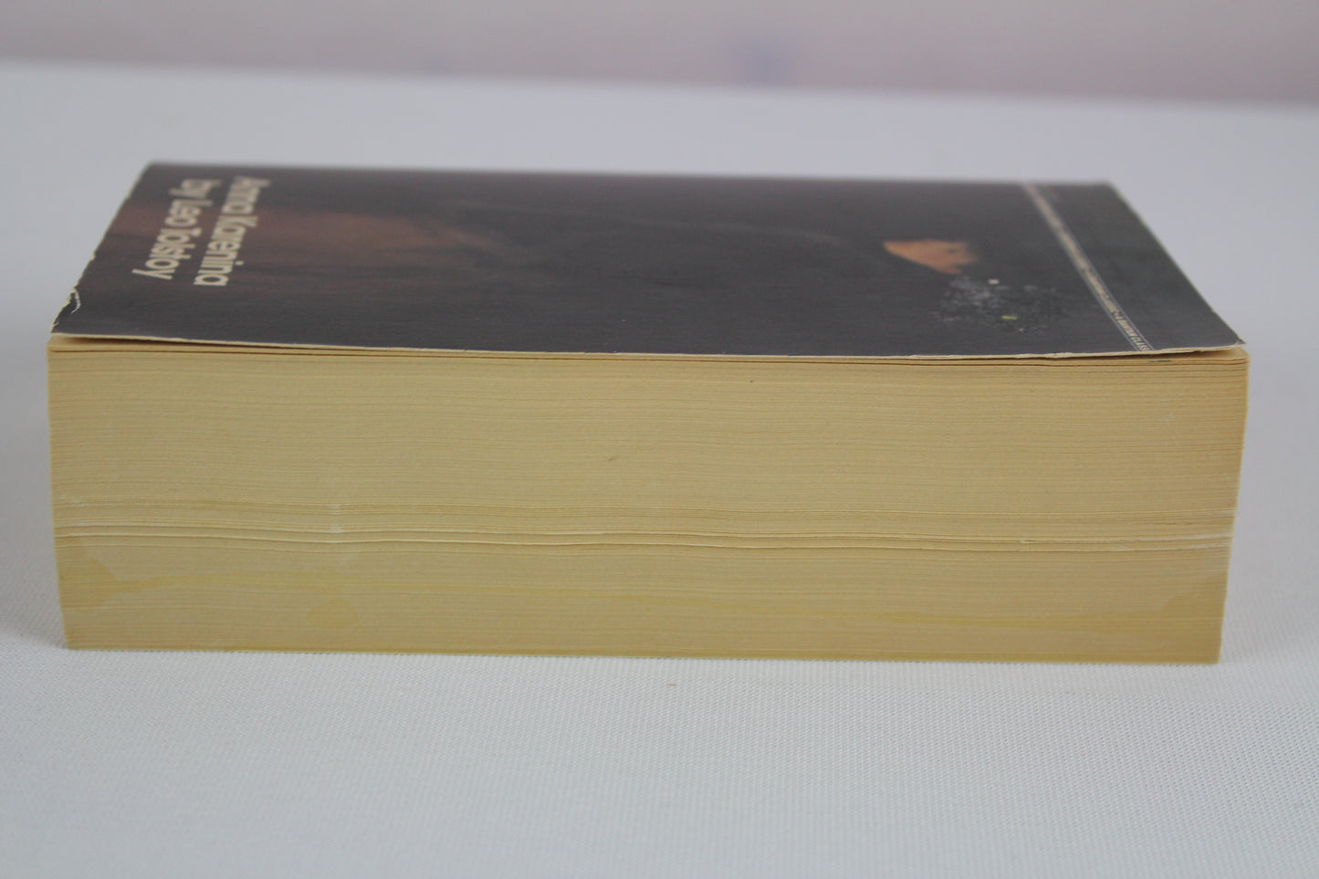 Anna Karenina by Leo Tolstoy